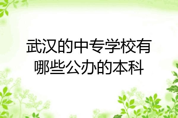 武汉的中专学校有哪些公办的本科