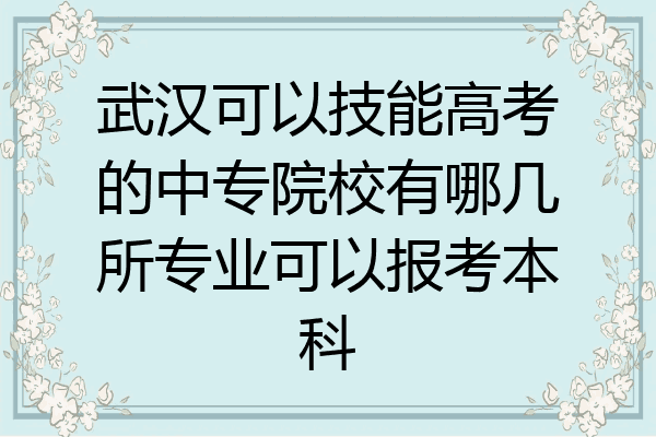 武汉可以技能高考的中专院校有哪几所专业可以报考本科