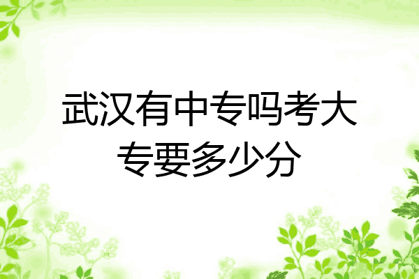 武汉有中专吗考大专要多少分