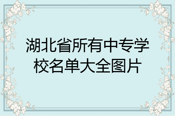 湖北省所有中专学校名单大全图片
