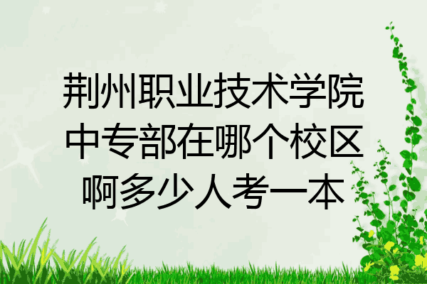 荆州职业技术学院中专部在哪个校区啊多少人考一本