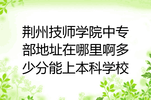 荆州技师学院中专部地址在哪里啊多少分能上本科学校