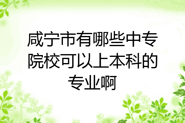 咸宁市有哪些中专院校可以上本科的专业啊