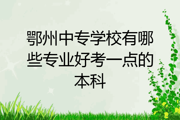 鄂州中专学校有哪些专业好考一点的本科