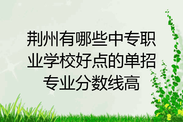 荆州有哪些中专职业学校好点的单招专业分数线高