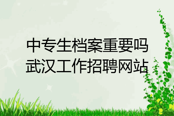 中专生档案重要吗武汉工作招聘网站