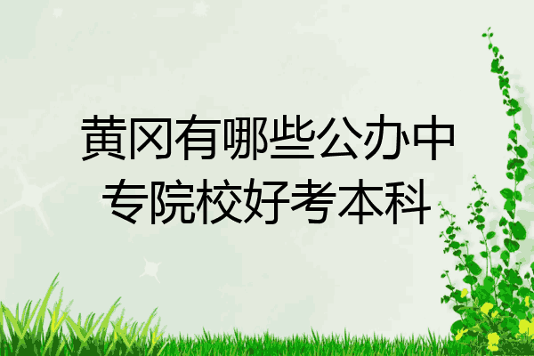 黄冈有哪些公办中专院校好考本科