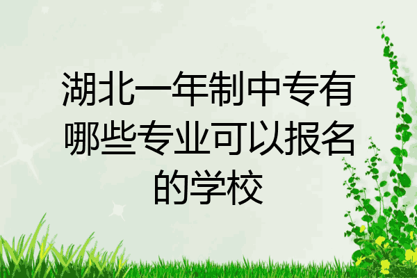 湖北一年制中专有哪些专业可以报名的学校