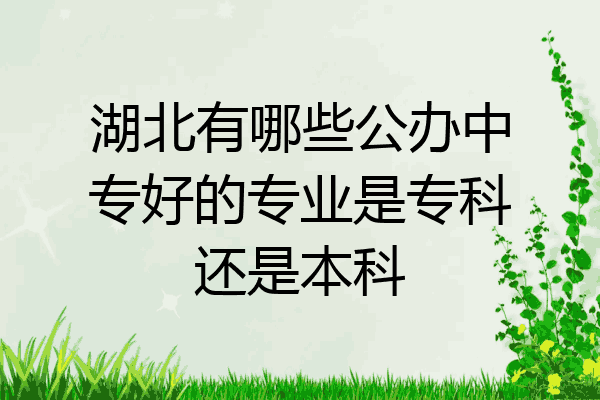 湖北有哪些公办中专好的专业是专科还是本科