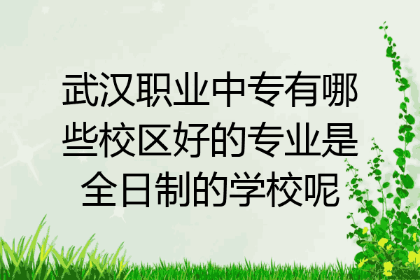 武汉职业中专有哪些校区好的专业是全日制的学校呢