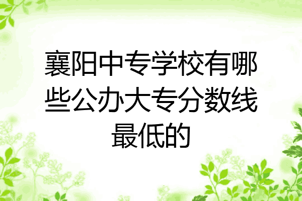 襄阳中专学校有哪些公办大专分数线最低的