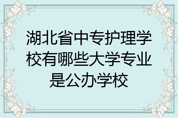 湖北省中专护理学校有哪些大学专业是公办学校