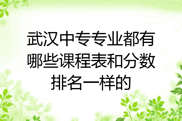 武汉中专专业都有哪些课程表和分数排名一样的