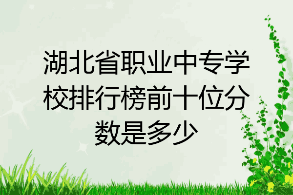 湖北省职业中专学校排行榜前十位分数是多少