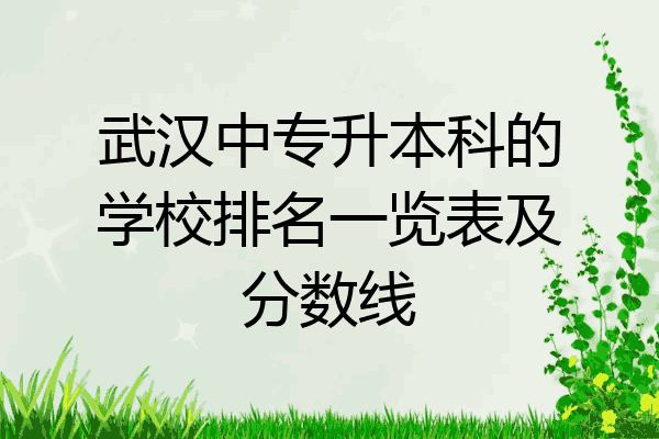 武汉中专升本科的学校排名一览表及分数线