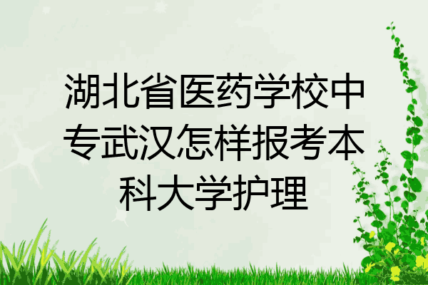 湖北省医药学校中专武汉怎样报考本科大学护理