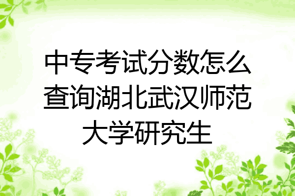 中专考试分数怎么查询湖北武汉师范大学研究生