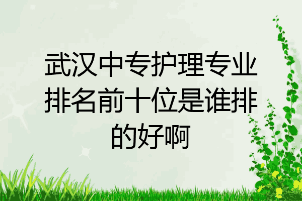 武汉中专护理专业排名前十位是谁排的好啊