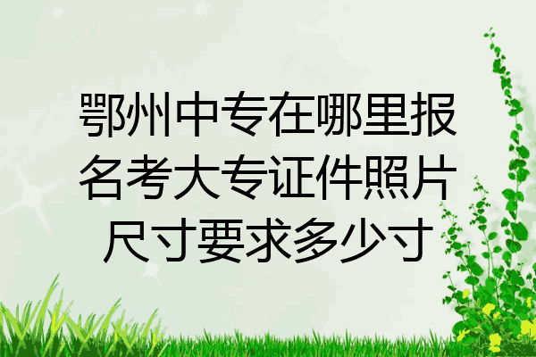 鄂州中专在哪里报名考大专证件照片尺寸要求多少寸