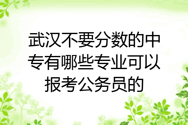 武汉不要分数的中专有哪些专业可以报考公务员的