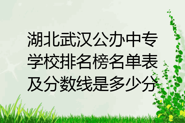 湖北武汉公办中专学校排名榜名单表及分数线是多少分