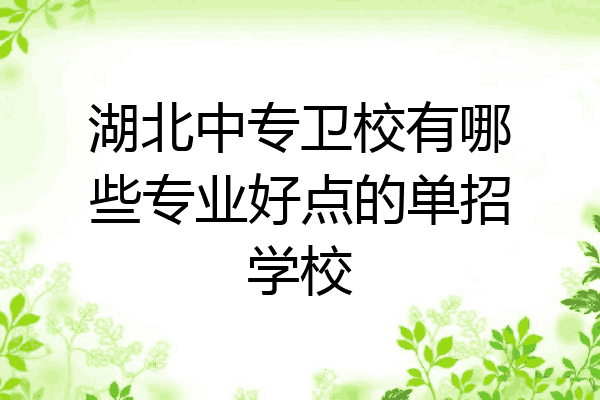 湖北中专卫校有哪些专业好点的单招学校