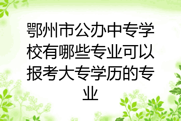 鄂州市公办中专学校有哪些专业可以报考大专学历的专业