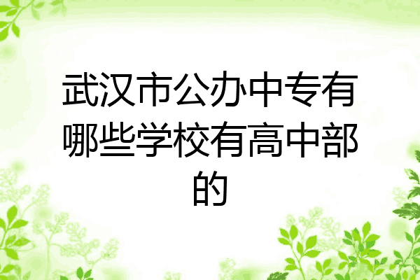武汉市公办中专有哪些学校有高中部的