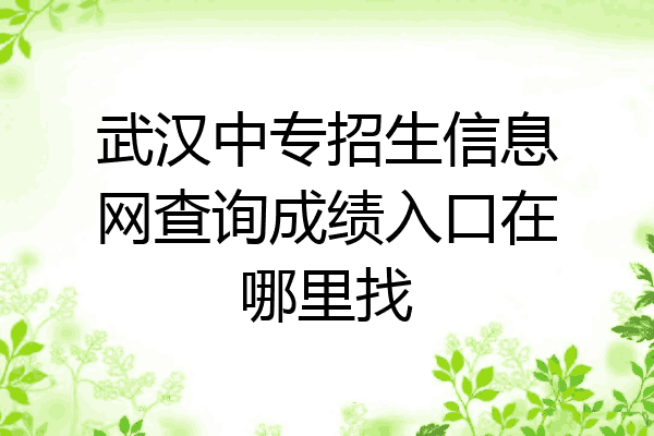 武汉中专招生信息网查询成绩入口在哪里找