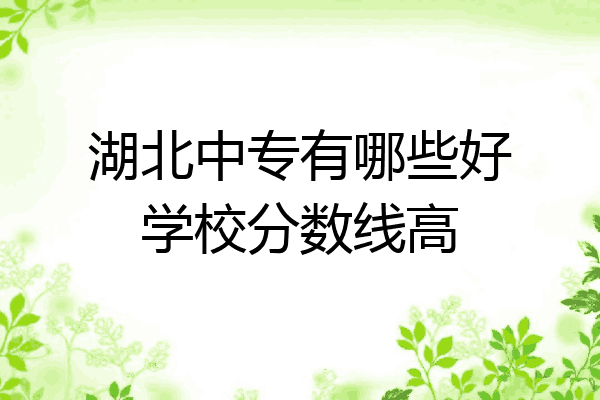 湖北中专有哪些好学校分数线高