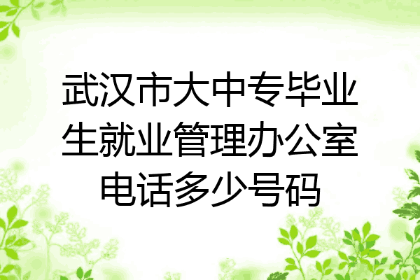 武汉市大中专毕业生就业管理办公室电话多少号码