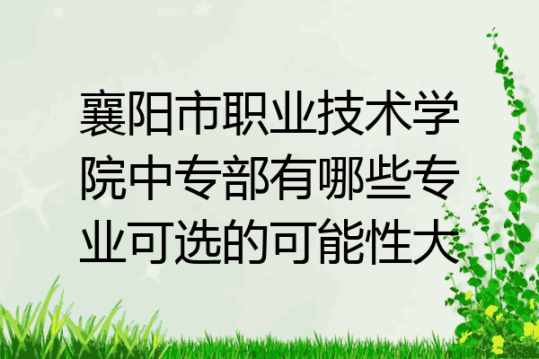 襄阳市职业技术学院中专部有哪些专业可选的可能性大