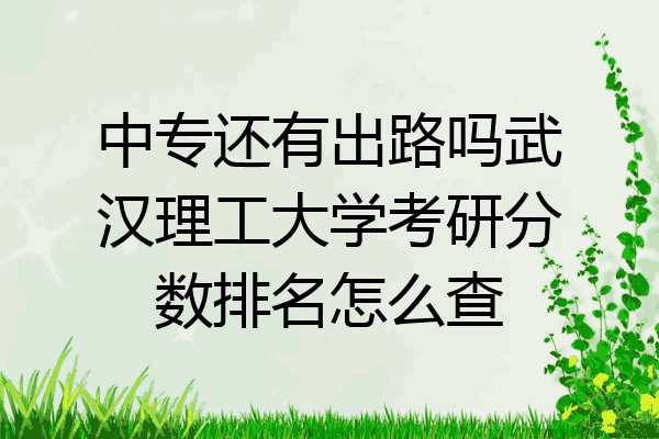 中专还有出路吗武汉理工大学考研分数排名怎么查