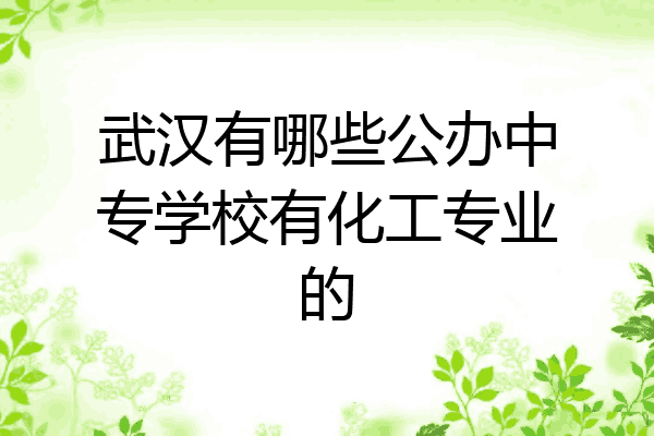 武汉有哪些公办中专学校有化工专业的