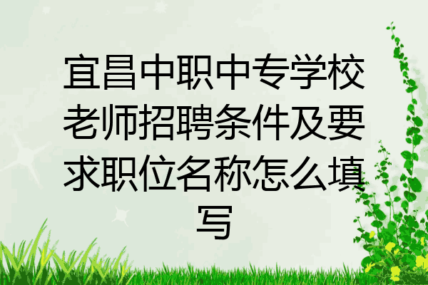 宜昌中职中专学校老师招聘条件及要求职位名称怎么填写