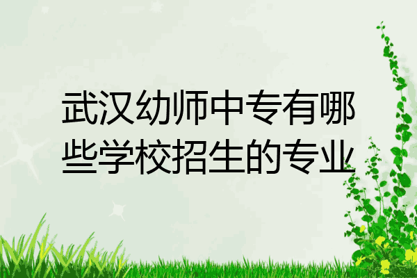 武汉幼师中专有哪些学校招生的专业