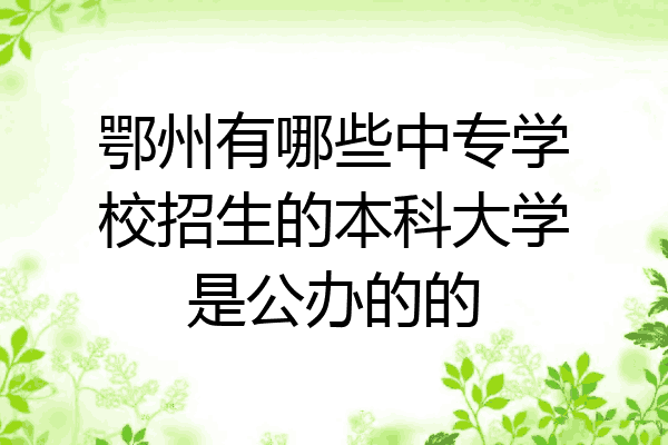 鄂州有哪些中专学校招生的本科大学是公办的的