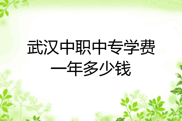 武汉中职中专学费一年多少钱