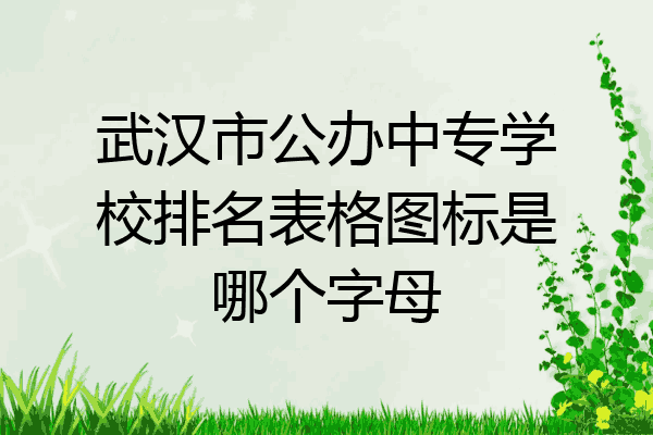 武汉市公办中专学校排名表格图标是哪个字母