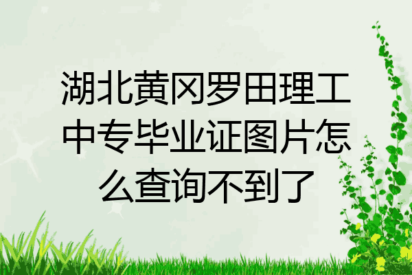 湖北黄冈罗田理工中专毕业证图片怎么查询不到了
