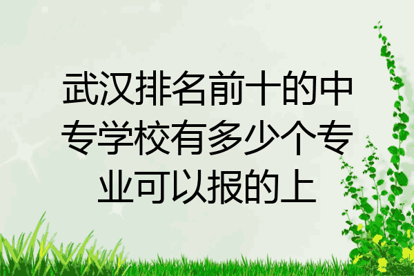 武汉排名前十的中专学校有多少个专业可以报的上