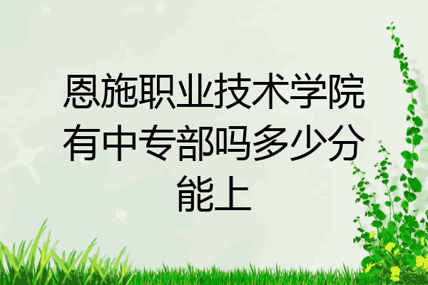恩施职业技术学院有中专部吗多少分能上