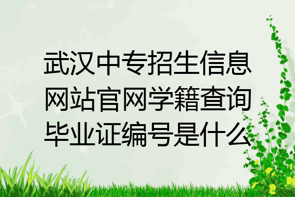 武汉中专招生信息网站官网学籍查询毕业证编号是什么