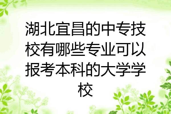 湖北宜昌的中专技校有哪些专业可以报考本科的大学学校