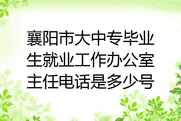 襄阳市大中专毕业生就业工作办公室主任电话是多少号