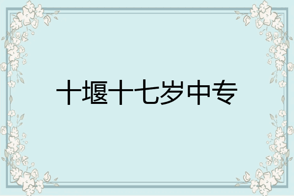 十堰十七岁中专