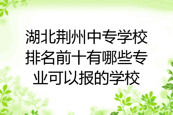 湖北荆州中专学校排名前十有哪些专业可以报的学校