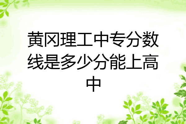 黄冈理工中专分数线是多少分能上高中