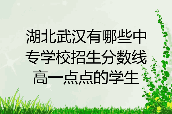 湖北武汉有哪些中专学校招生分数线高一点点的学生