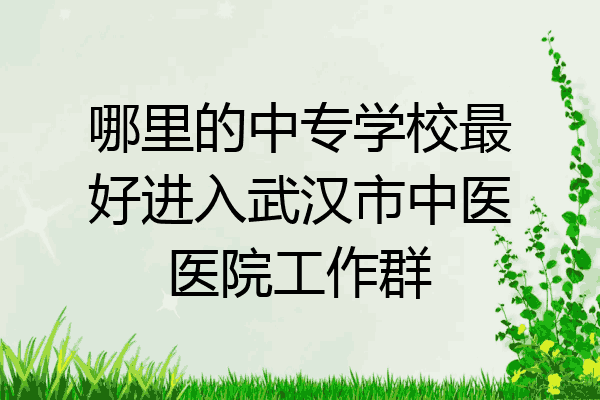 哪里的中专学校最好进入武汉市中医医院工作群
